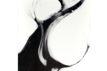 Attila Richard Lukacs (b. 1962, Calgary) 2002, Monotype 4,  monotype, 23.5 x 19 in.
