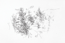 35. Ann Kipling (b. 1934), Trees & Mist, pen, ink & wash on paper, 2015, 13.5 x 29.5 in.