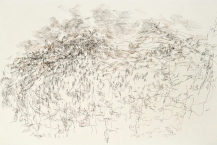36. Mountainside, 2018, Micron pen on paper, 15.75 x 26 in. 
