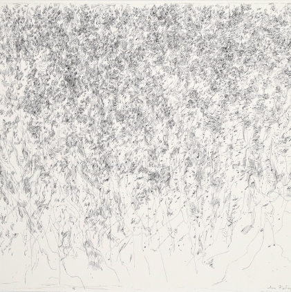 4. Tree Study, 1968, ink on paper, 22.5 x 26 in. 