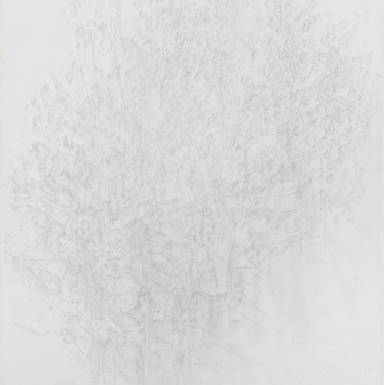 8. Tree Study, 1981, graphite on paper, 30 x 22 in. 