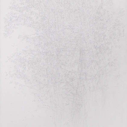 9. Tree Study, 1981, graphite on paper, 30 x 22 in. 