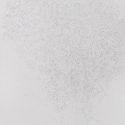 10. Tree Study, 1981, graphite on paper, 30 x 22 in. 