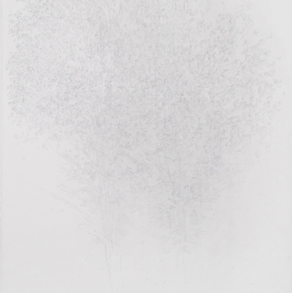 11. Tree Study, 1981, graphite on paper, 30 x 22 in.