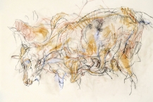 15. Goat, 1989, pastel & Conté on paper, 22 x 30 in. 