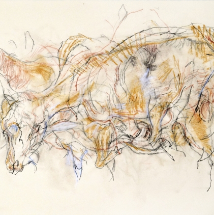 15. Goat, 1989, pastel & Conté on paper, 22 x 30 in. 