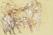 20. Goat, 1989, pastel & Conté on paper, 22 x 30 in. 